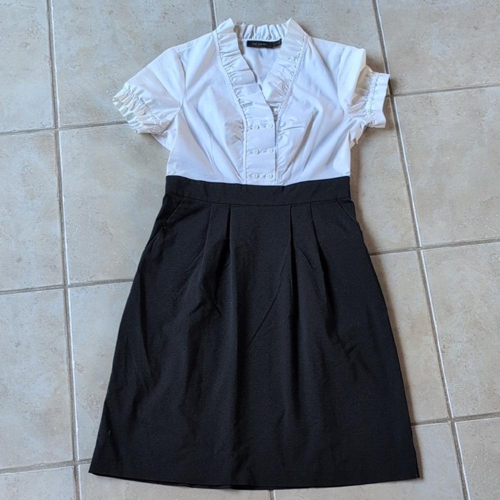 The Limited Black and White Cotton Dress